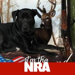 Meet your Posher, Richard